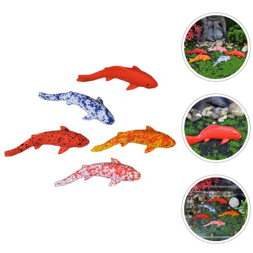 Acquario pesce - acquario,