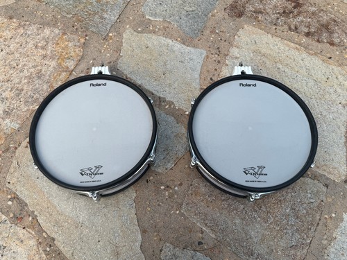 Due roland 120 testa - wt, 12"
