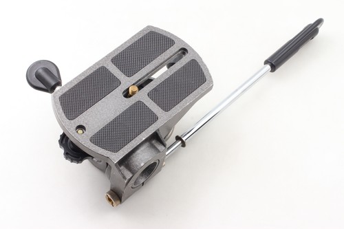 Rgitzo g1570 testa - 5,