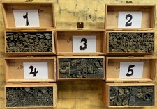 Vignette gioielli stampa libro