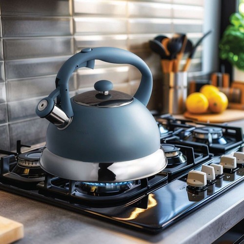 Whistling kettle heavy - kettle,