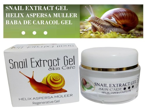 Baba caracol snail - baba,