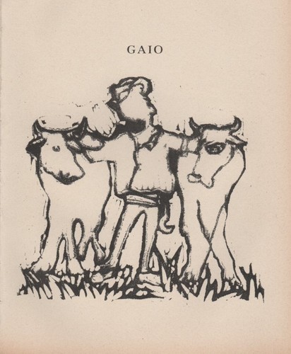 Mino maccari gaio - mino,