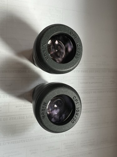 Oculari nikon microscopio - nikon,