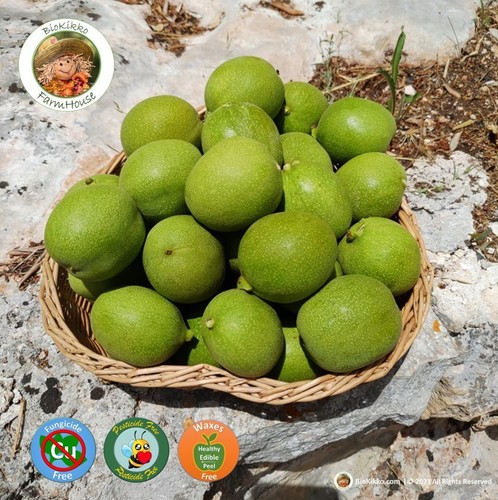 Noci fresche per nocino - noci,