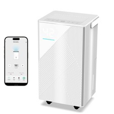 Deumidificatore WiFi 12L