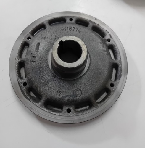 Puleggia centrifuga albero