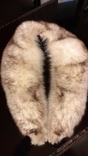 Collo di pelliccia di volpe