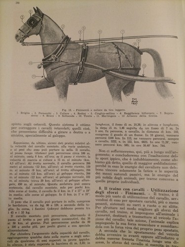 1937 vecchia stampa - vecchia,