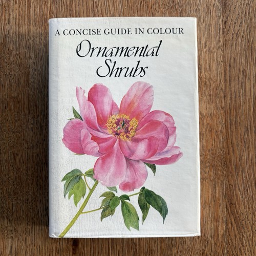 Vintage botanical ornamental - vintage,