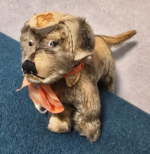 Steiff cane raudi vintage - steiff,