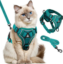 Pettorina per Gatti Con