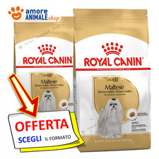 Royal Canin Dog → Adult