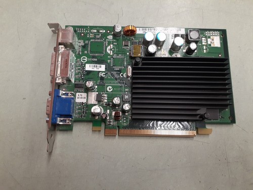 Scheda grafica video nvidia - grafica,