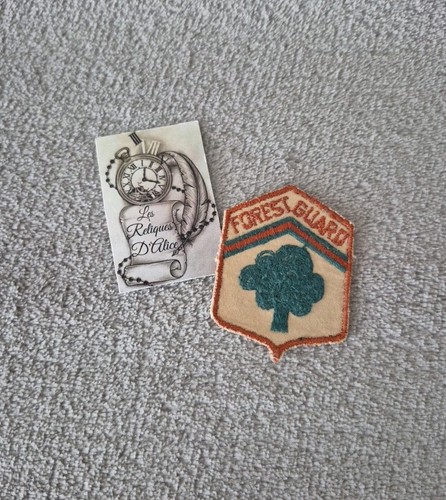 écusson insigne tissu de - insigne,
