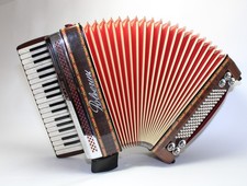 Fisarmonica, Polverini suono