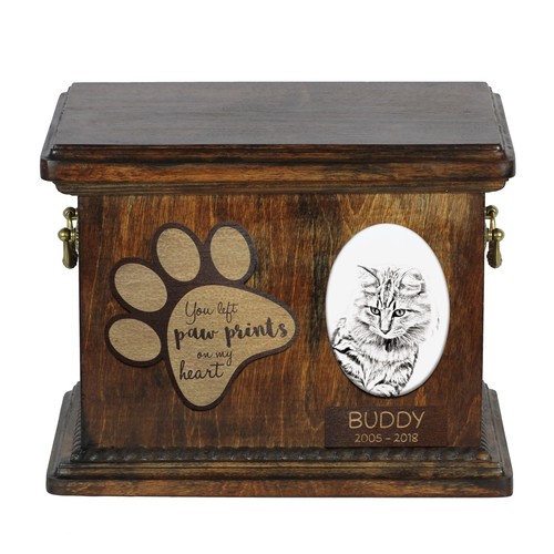 Bobtail americano urna - , di