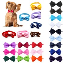 Papillon Regolabile 1 Pezzo