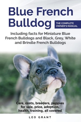Grant blue french bulldog - grant,