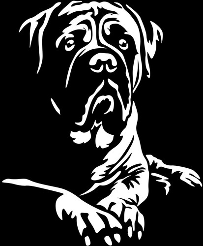 Adesivo bullmastiff - adesivo,