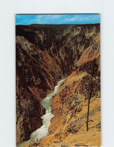 Cartolina yellowstone river - cartolina,