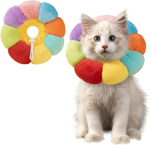 Collare elisabettiano cane - collare,