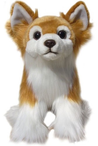 Orsacchiotto chihuahua - orsacchiotto,