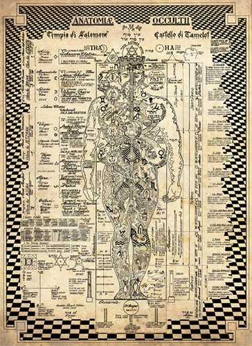 Anatomiae occultii anatomia - anatomiae,