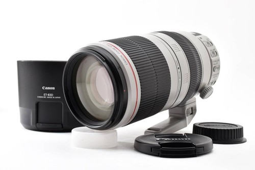 Canon 100 400mm 5 - 100-400mm, f/4.5-5.6l