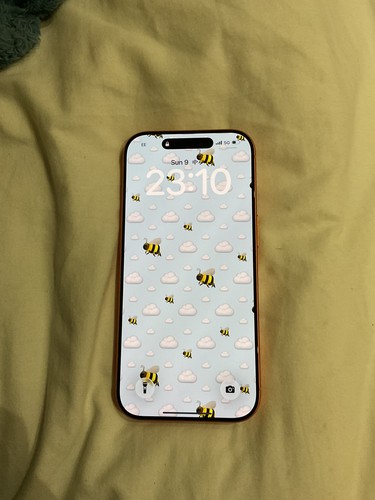 Apple iphone pro - pro, gb