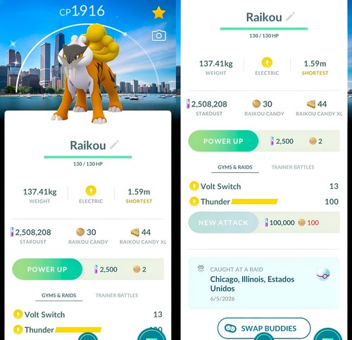 Shiny raikou chicago - shiny,