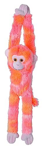 Wild republic hanging monkey - hanging,