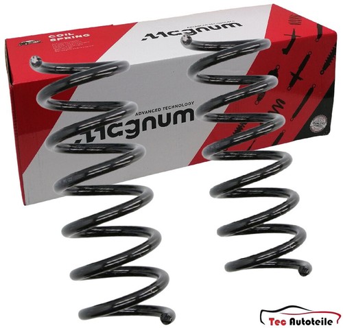 Molle magnum anteriori per - anteriori,