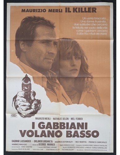 Manifesto gabbiani volano - manifesto, i