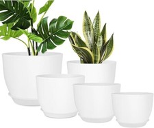 Confezione da 5 Vasi in