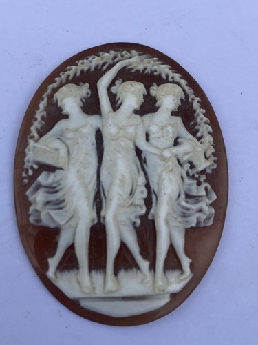 Antico cammeo conchiglia le - antico,