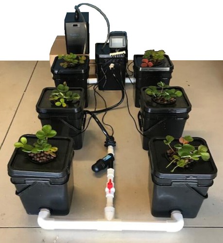 Southern hydroponics coltura - southern,