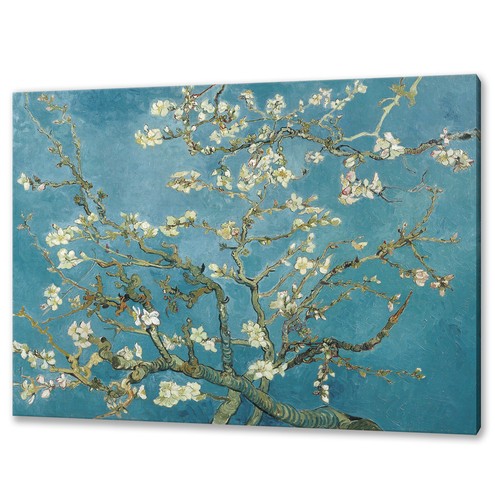Vincent van gogh fiori - van,