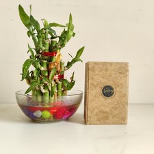 1920s Vintage E Coudray Parigi