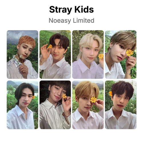 Stray kids noeasy limited - stray,