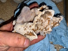 quarzo druso ametista