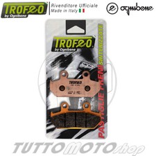 PASTIGLIE FRENO POSTERIORE