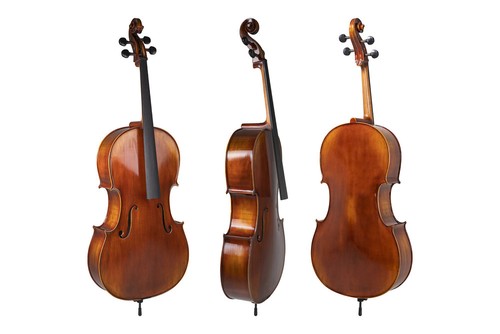 Violoncello - violoncello,