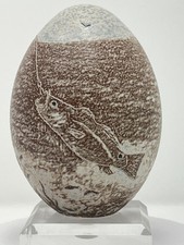 Scena di pesca pesca pescatore