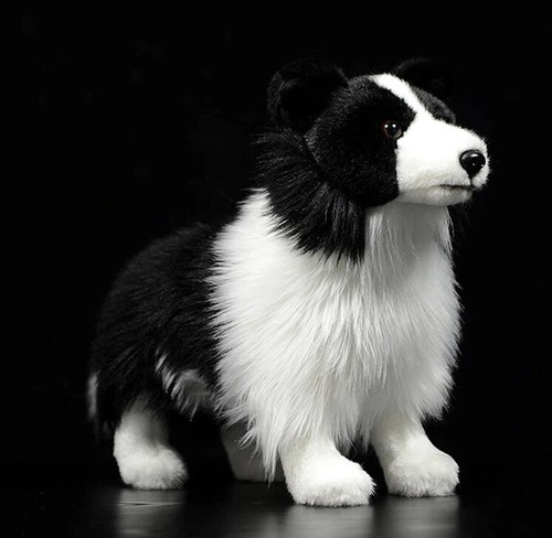 Peluche cane border collie - cane,
