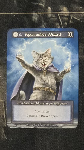 Apurrentice wizard non - apurrentice,