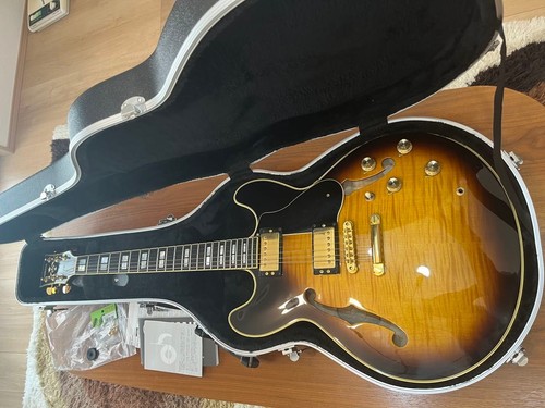 Chitarra elettrica semivuota