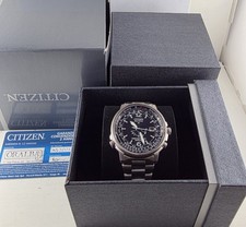 Citizen Promaster Pilot