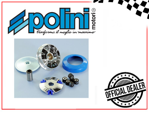 241 311 variatore polini - variatore,