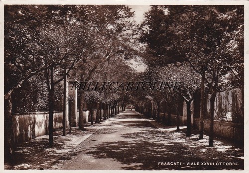 Frascati viale xxviii ottobre - frascati:,